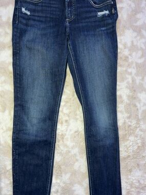 Silver Jeans Women's Dark Wash Skinny Jeans